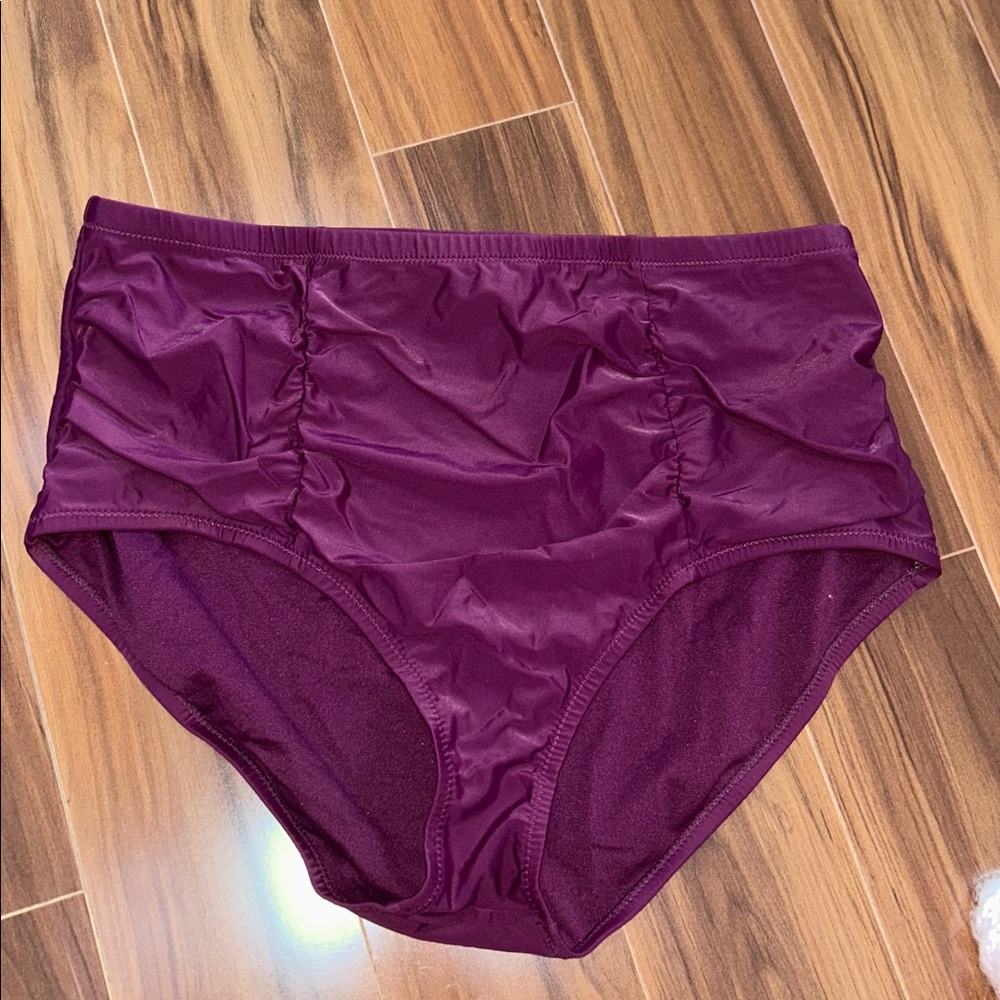24W Raisins Curve Purple bikini bottoms high waist